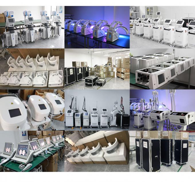 800w krioterapia twarzy Maszyna -20c krioterapia Zimmer Maszyna do chłodzenia skóry 14