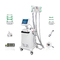 Maszyna do kriolipolizy Cryo Lipolaser RF Kawitacja System zamrażania tłuszczu 4 w 1 do wyszczuplania ciała