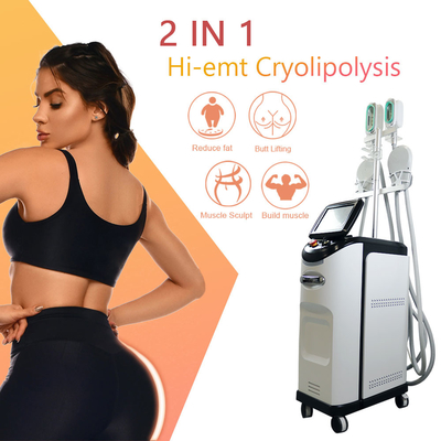 Cryolipolyse EMS Machine 360 ​​Cryo Fat Freezing Usuwanie cellulitu