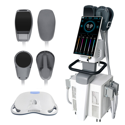 300W-4000W moc wyjściowa Ems Body Slimming Machine Rf 14 Tesla Ems Sculpting Machine