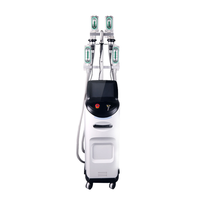 10.4 Inch Color Touch Screen Cryolipolysis Slimming Machine dla wygodnego i wygodnego leczenia