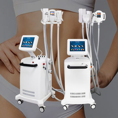 Maszyna do zmniejszania tkanki tłuszczowej i odchudzania 360 Kryolipolysis Body Contouring Slimming Device For Fat Freezing