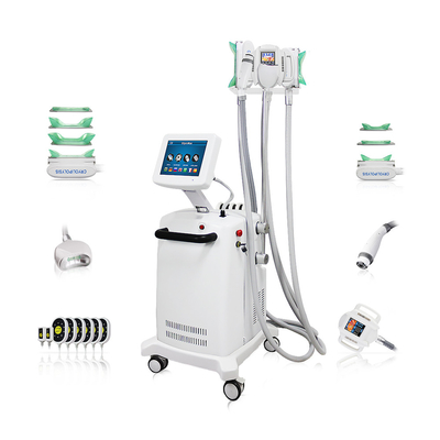 10.4 Inch Color Touch Screen Cryo-lipo Slimming Machine dla profesjonalnej redukcji tłuszczu